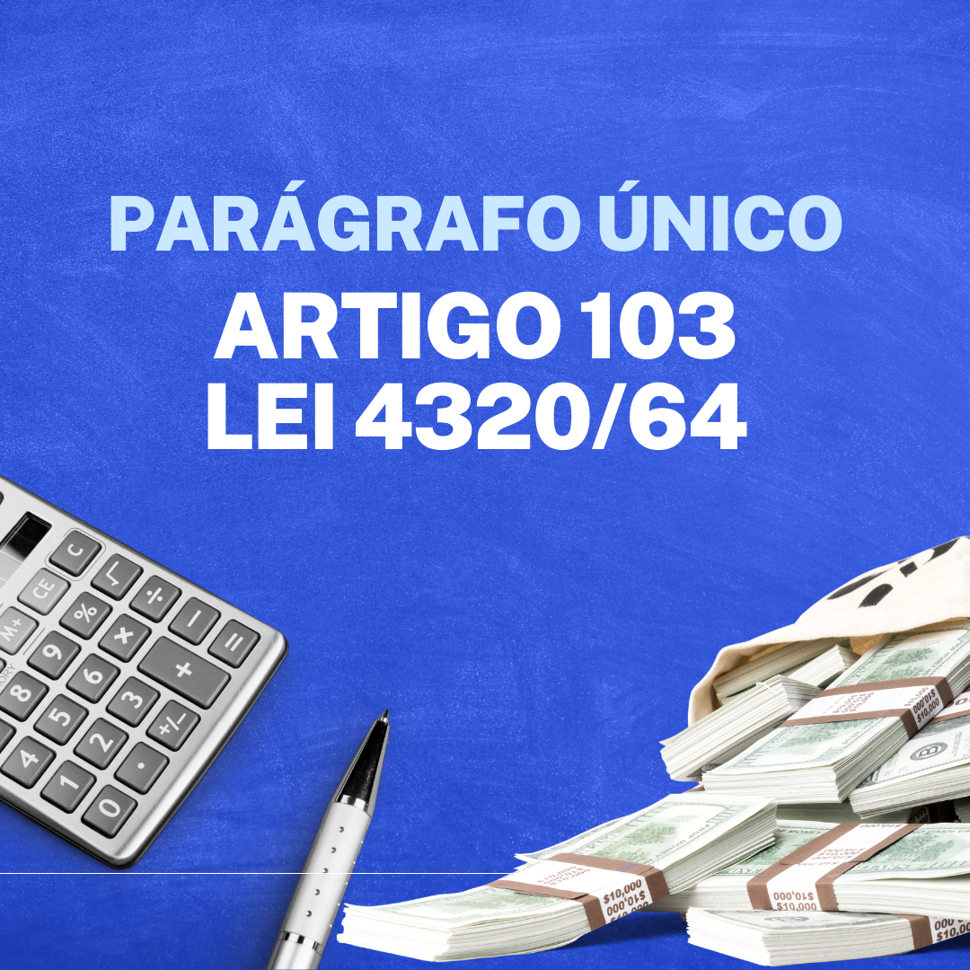 lei 4320 esquematizada - artigo 103