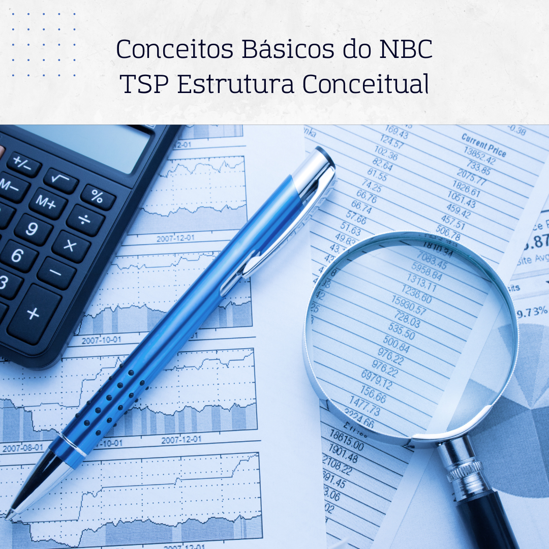 Conceitos Básicos do NBC TSP Estrutura Conceitual