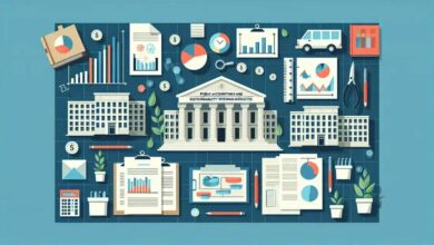 Contabilidade Pública e Sustentabilidade: Integrando Objetivos